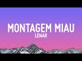 Montagem Miau Slowed Letra Lyrics 