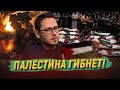 Палестинцев ждала участь индейцев, но случилось чудо - Мухаметов