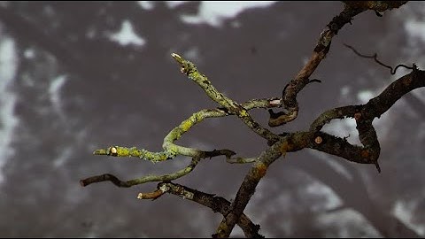 Hearing each other   (installation view)