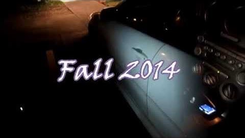 UTSA Sigma Lambda Beta Lambda Line