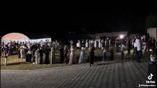 Dasmat shqiptare kajde defit🔥