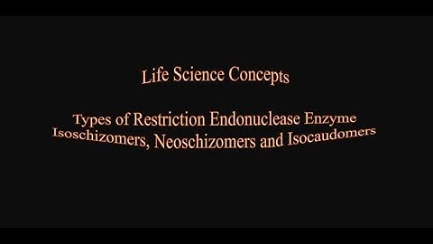 Types of Restriction Endonuclease Enzyme  (Isoschizomers, Neoschizomers and Isocaudomers)
