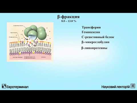 Клиническая лабораторная диагностика. Лекция 11