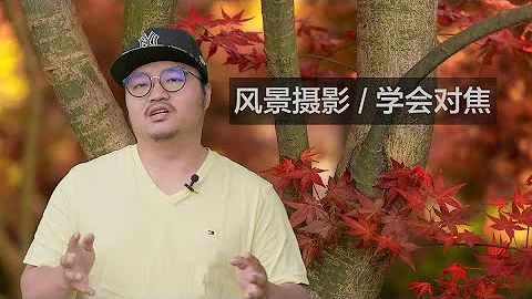 一个视频学会对焦！我们一起重新认识景深 - 天天要闻