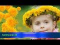 Футажи-переходы "Одуванчики", хромакей/transitions "Dandelions", chromakey