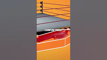 How Did The Undertaker Escape The Coffin When It Was Set On Fire 