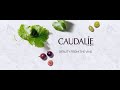 ЗАКАЗ CAUDALIE // КРУТЫЕ ПОДАРКИ // BLACK FRIDAY -30%