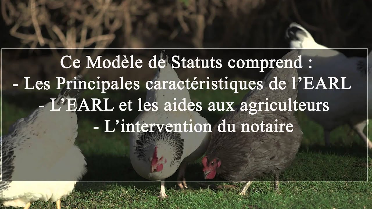 Statuts EARL : Exploitation Agricole à Responsabilité Limitée - YouTube