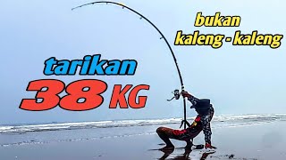 MANCING IKAN BESAR DARI PINGGIRAN LAUT strike pari 38,5 kg