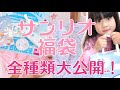 【サンリオショップ福袋】全種類買ってきた