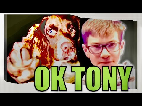 Sebastian Rogers: TikTok Tonys latest bombshell info