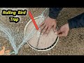 Teetar Trapping Using Plastic Bucket Rolling Bird  Trap &  Box Paper