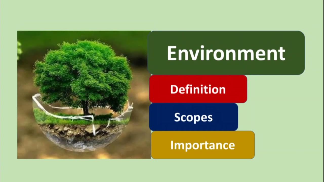Environment Definition, Scopes and importance Hindi Explaination