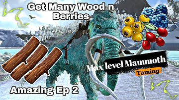 Max level Mammoth Taming For Wood and Berries // Season 2 Ep 2 // Mp Wizard gaming