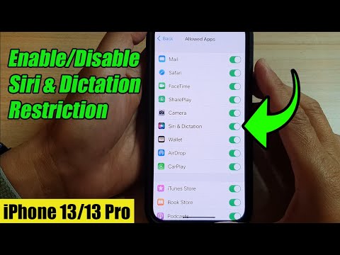 iPhone 13/13 Pro: