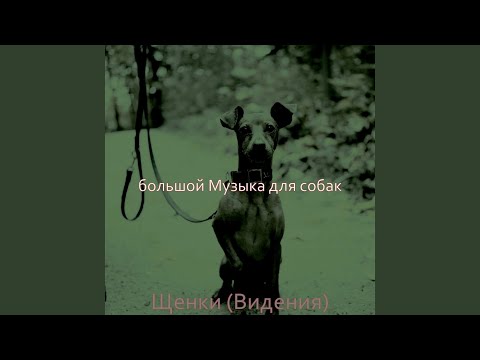 большой Музыка для собак - Звуки (Собаки)