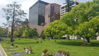 The hidden celebrity cemetery