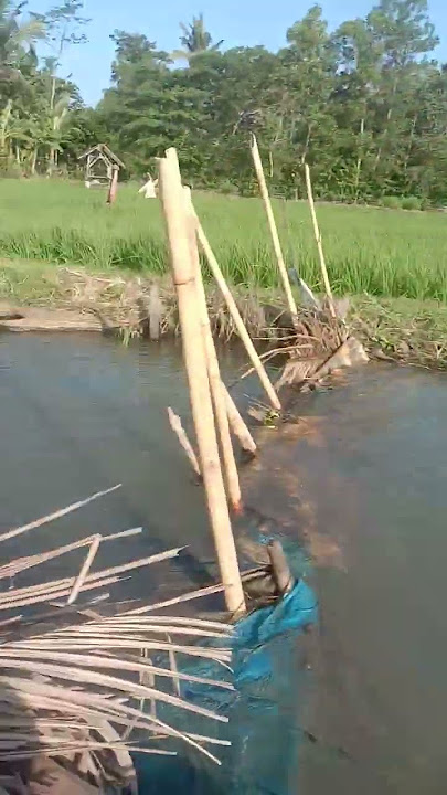 #hobiku #Hiling #mancing #refreshing #