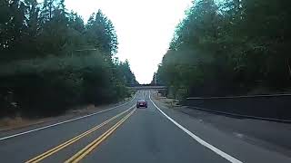 Black bear spotted in Redmond, Washington by Connor OnTheWeb 538 views 5 years ago 20 seconds