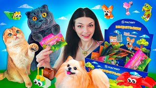 картинка: КИСА БАТТЕРС и КОТ ПЕРСИК Открывают ЗВЕРЯТЫШЕЙ из Магнита | Попался РЕДКИЙ - Собрала Всю Коллекцию