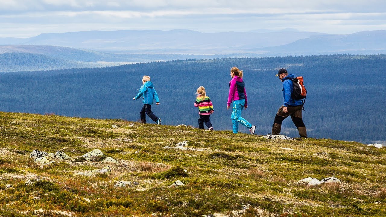 Vandring  Lofsdalen