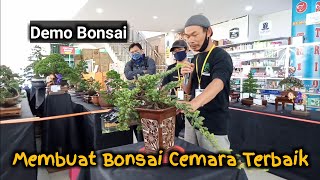 Membuat Bonsai Cemara Terbaik | Demo Bonsai PPBI Cabang Wonosobo