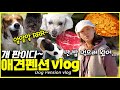 🐶애들아 좋니..?🐶 순두부열라면 먹을거야... 들어가자 [가은아 뭐하니]