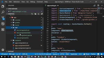 Angular in Amharic Part 11 Project Overview