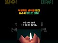 플라시보 효과 / 부정적인 생각을 많이 할수록 병드는 이유