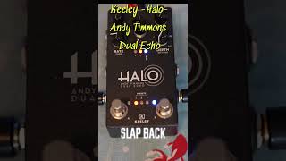 Keeley Halo Andy Timmons Dual Echo slap back  #guitar #keeley #halo #delay #pedal #silversky