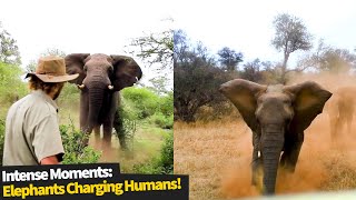 9 Incredibly Intense Moments Elephants Charged At Humans