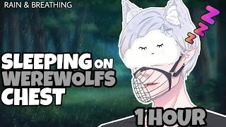 ASMR Boyfriend | Werewolf |Sleeping on Boyfriends Chest | No Talking | Sleep Breathing | Asmr Cowok