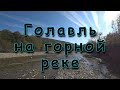 Охота за голавлем на горной реке.