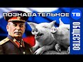 Животные во власти Российской Федерации. Требуется Сталин!