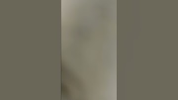 #عبدالرحمن_مسعد_تلاوة_جديدة #عبدالرحمن_مسعد #اكسبلور #الاذان #المصحف #azan #لايك #الرحمن #حسام_