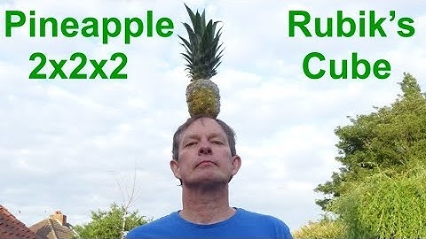 *REAL* Pineapple 2x2x2 Rubik