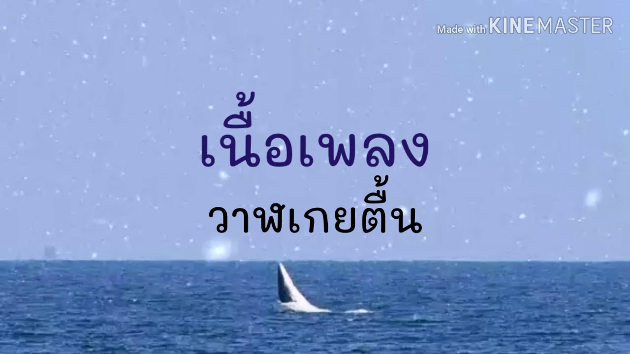 วาฬเกยตื้น - GUNGUN [เนื้อเพลง]