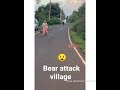 Bear attack in village