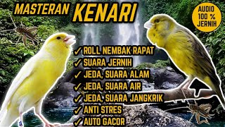 SUARA MASTERAN KENARI ROLL NEMBAK RAPAT ! JEDA, TERAPI AIR & ALAM. ANTI STRES !