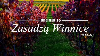 Zasadzą Winnice (Iz 65,21) odc. 16