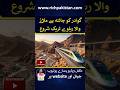 Gwadar to China Railway Track #pakistanrailways #railway