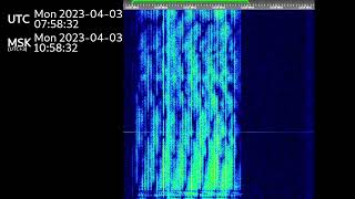 The Buzzer/UVB-76(4625Khz) April 3rd, 2023 07:58UTC Voice message