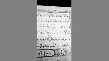 محمد رسول الله ...سورة الفتح