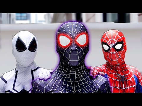 TEAM SPIDER-MAN vs BAD GUY TEAM || Are You VENOM ?? ( Live Action )