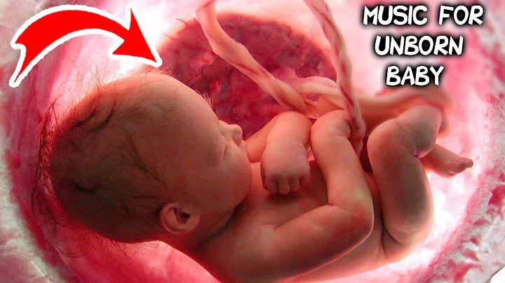 Music for unborn baby |  Brain development | Relax - DayDayNews