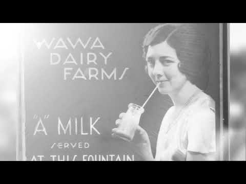 Go 4th & Learn: 100 Years of Dairy History with Wawa