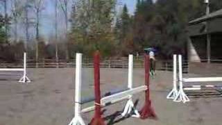 Fat Chance jumping-SOLD
