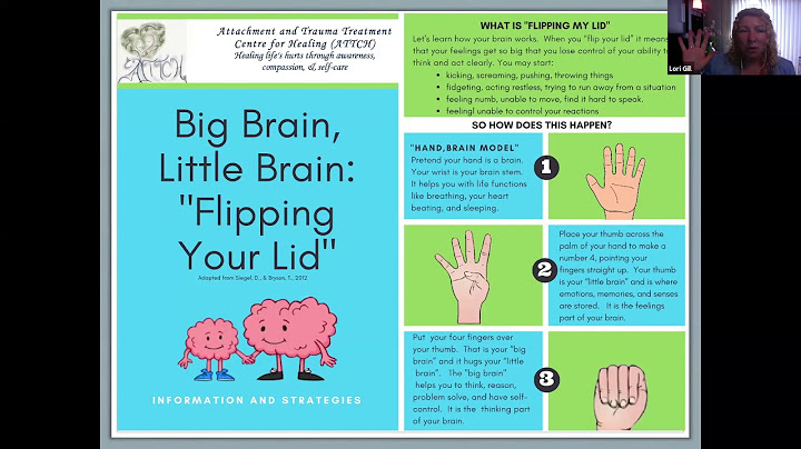 Attachment experiences impact what part of the brain