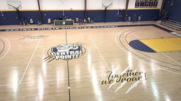 BirdDog - P400 Panning