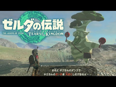 おまけ付き ゼルダの伝説 ティアキン ポーチ ランチボックス キャンバスアート ユン坊も参戦！「BOSS」×『ゼルダの伝説 ティアーズ オブ ザ